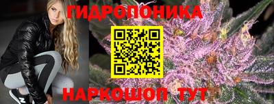 jwh Тулун
