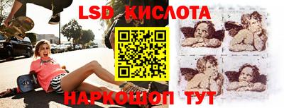 крисы Тула