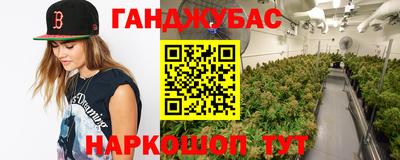 крисы Тула